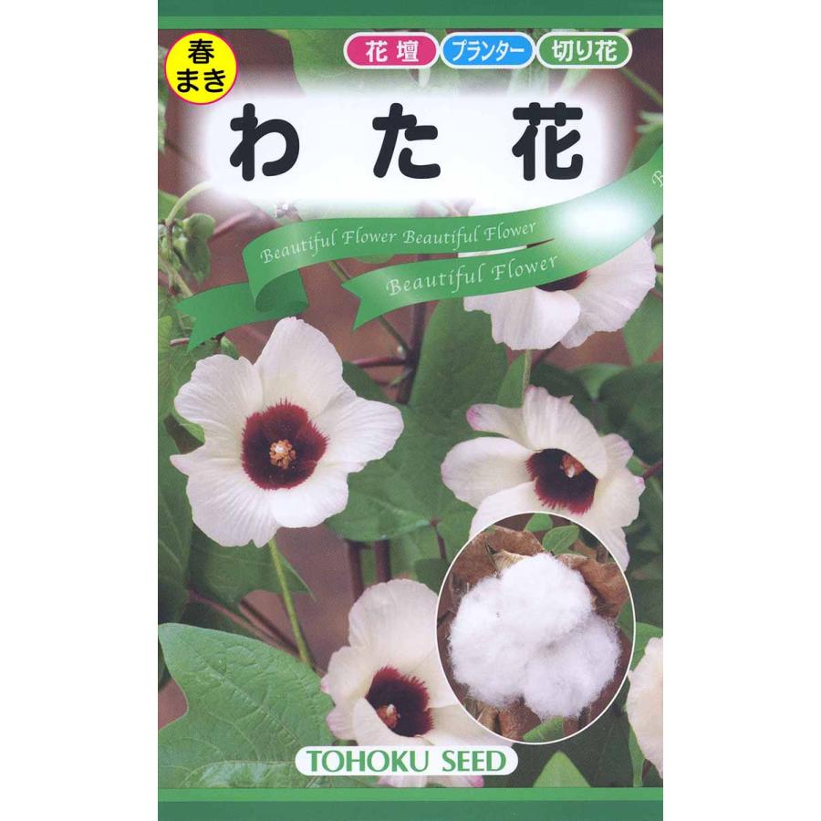 花の種 トーホク わた花 イケダグリーンセンターヤフー店 通販 Yahoo ショッピング