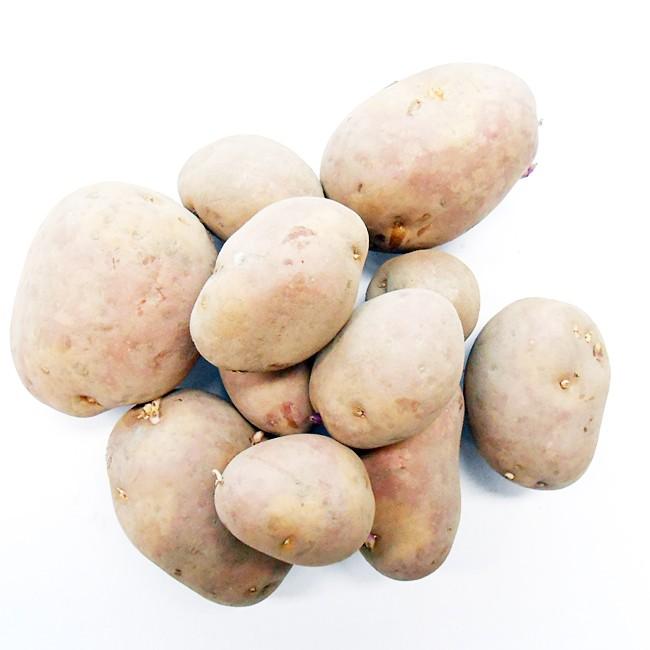 231円 ラッピング無料 野菜種 種ジャガイモ 馬鈴薯 バレイショ インカのひとみ 1ｋｇ