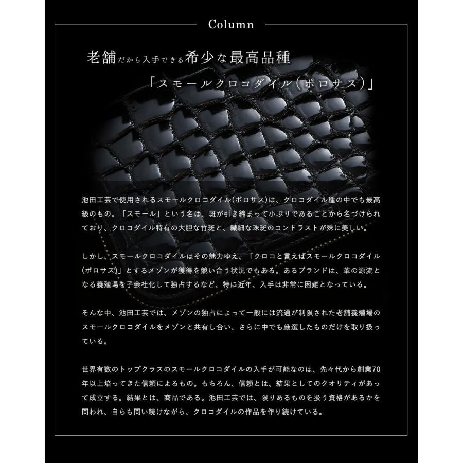 池田工芸】日本最大のクロコダイル専門店が贈る特別内装 池田工芸】日本最大のクロコダイル専門店が贈る特別内装