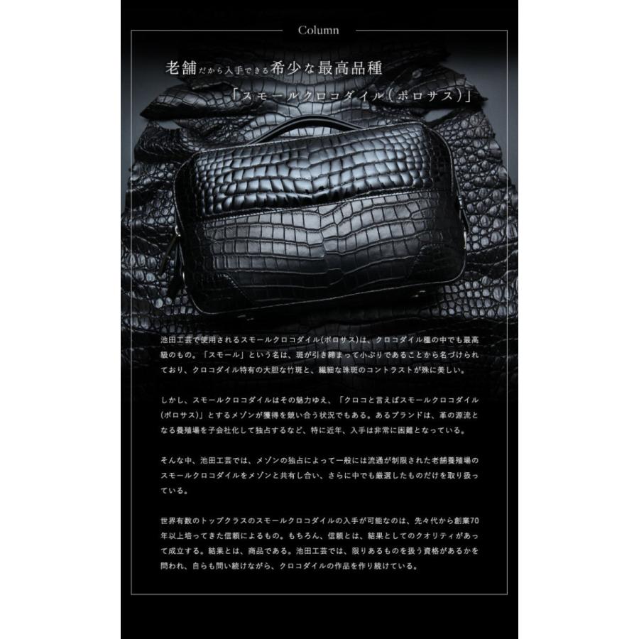 クロコダイルバッグ クロコバッグ クロコセカンドバッグ わに革 クロコダイルバッグ クロコバッグ クロコセカンドバッグ わに革