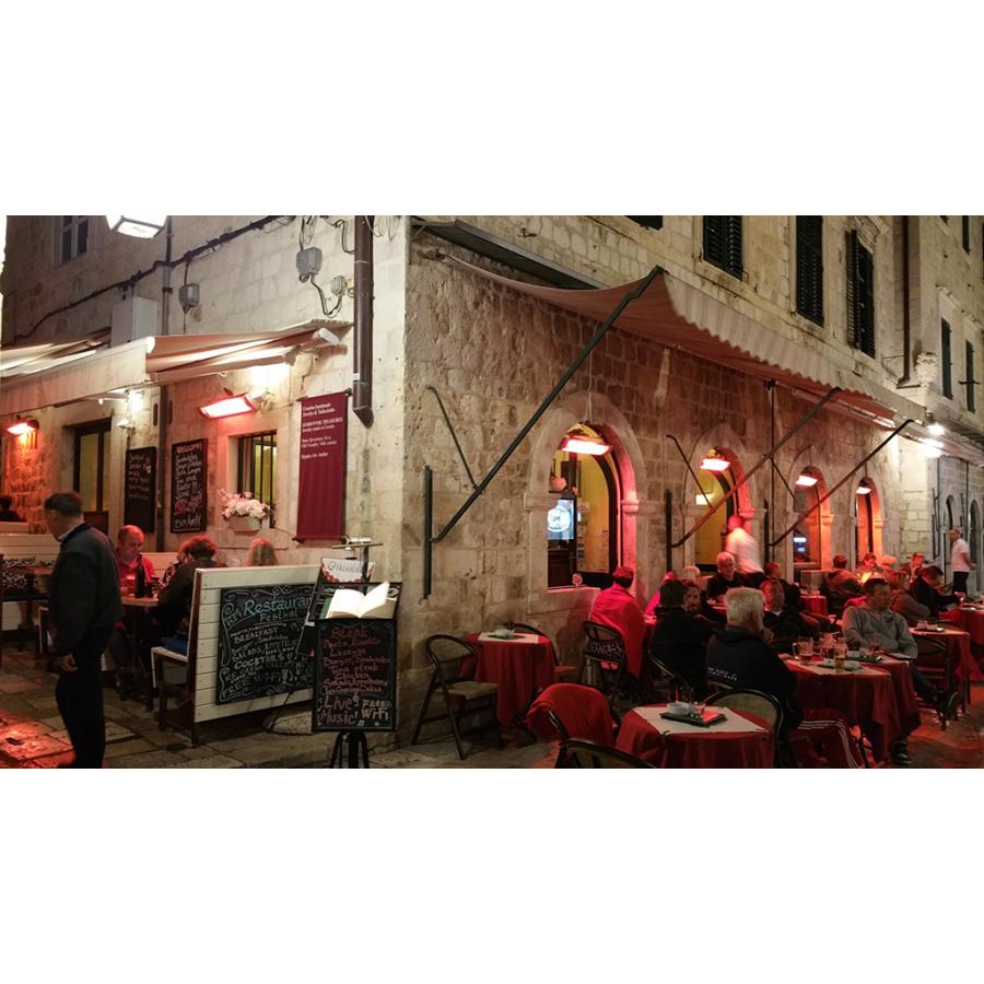 高出力2000W (単相200V)高い防塵防水IP-X5屋内屋外パティオヒーター