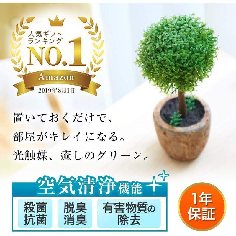 観葉植物 光触媒 キレイな空気を実感 人工観葉植物 フェイクグリーン アイケーストア 通販 Yahoo ショッピング