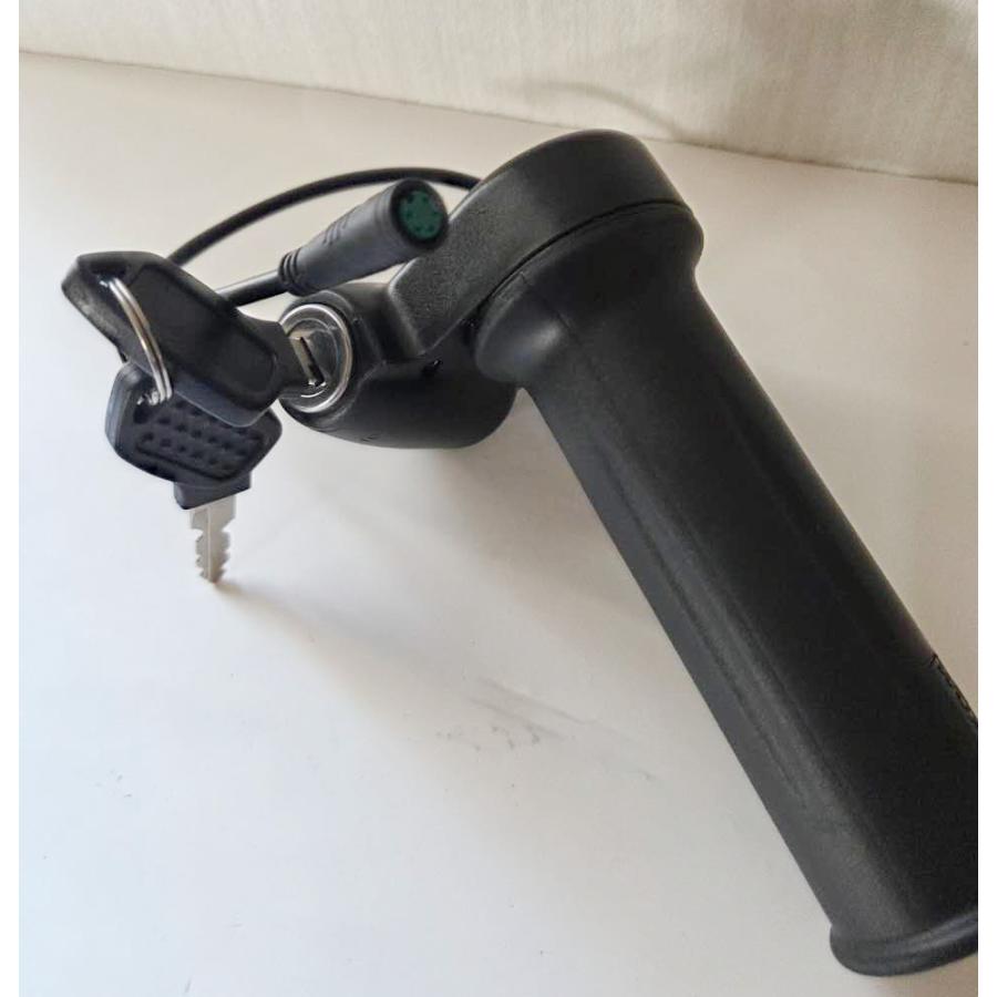 電動 アクセル 自転車 お陰様で完売】最新公道で走れるアクセル付きファットバイク アシスト