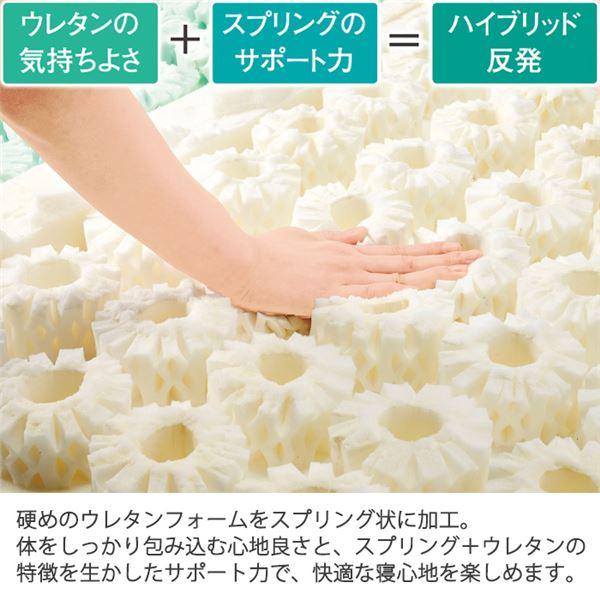 〔ドルメオ〕 スプリングエアー マットレス シングル 97cm×195cm×7cm 寝具 マットレス 〔ドルメオ〕 スプリングエアー シングル 97cm×195cm×7cm 寝具