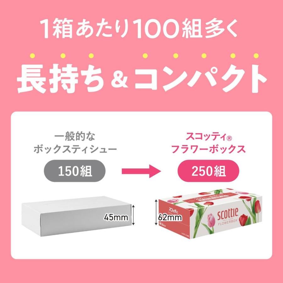 ティッシュペーパー ボックスティッシュ スコッティー 500枚(250組)ｘ３箱ｘ１８パック/卸/代金引換便不可/送料無料｜ikenetjigyoubu｜05