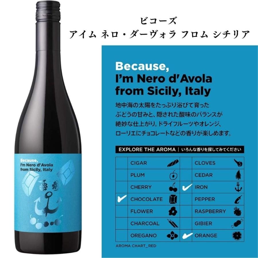 2本セットサルドSALDO 赤青レッドブルー超希少な青もあり！赤ワイン