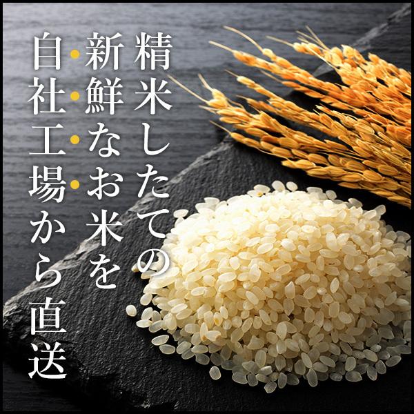 あきたこまち 令和7年産 お米 10kg 送料無料 白米5kg×2袋 茨城県 産直