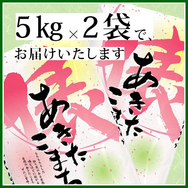 あきたこまち 令和7年産 お米 10kg 送料無料 白米5kg×2袋 茨城県 産直