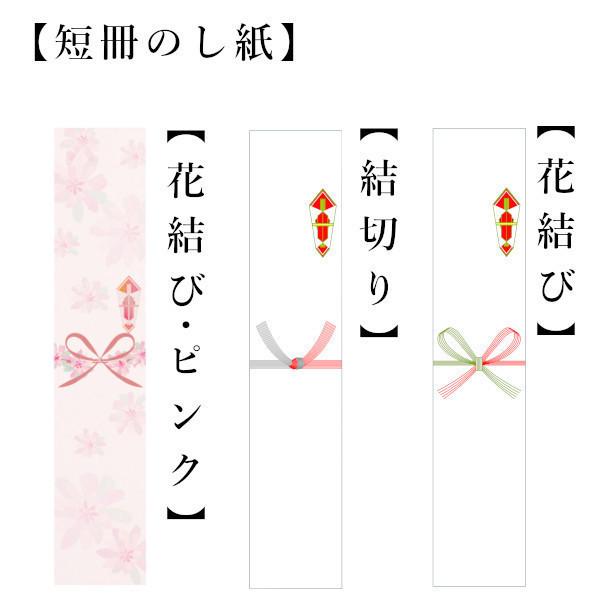コシヒカリ 新米 令和6年産 贈り物 お米 5kg 送料無料 無洗米 コシヒカリ 新米 令和6年産 贈り物 お米 5kg 送料無料 無洗米