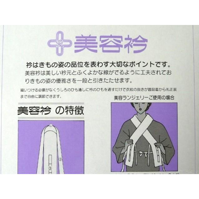 装道 美容衿 仕立衿 本麻 サマー 茶系縞柄 装いの道 40％OFF 169 