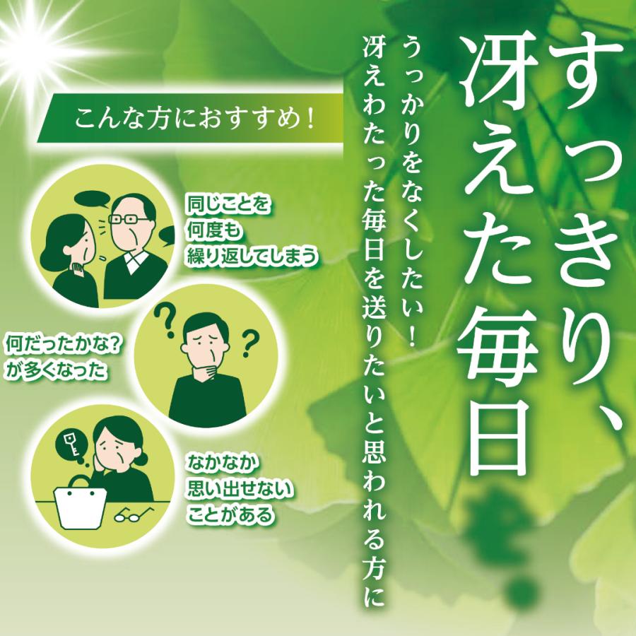 中京医薬品 イチョウ葉エキス ドリンク イチョウ葉SE 中京医薬品 イチョウ葉エキス ドリンク イチョウ葉SE