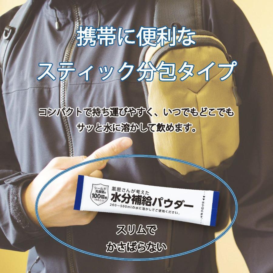 中京医薬品 薬屋さんが考えた 水分補給 パウダー 20包入 電解質補給