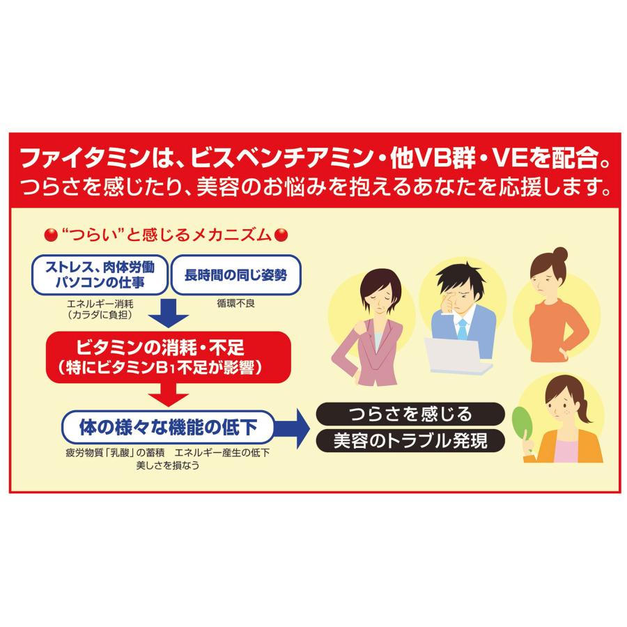 ビタミンb マルチビタミン ビスベンチアミン ファイタミン 約1ヶ月分 90粒入り 高配合 ビタミンB群 サプリメント｜ikiiki-ryouhin｜06