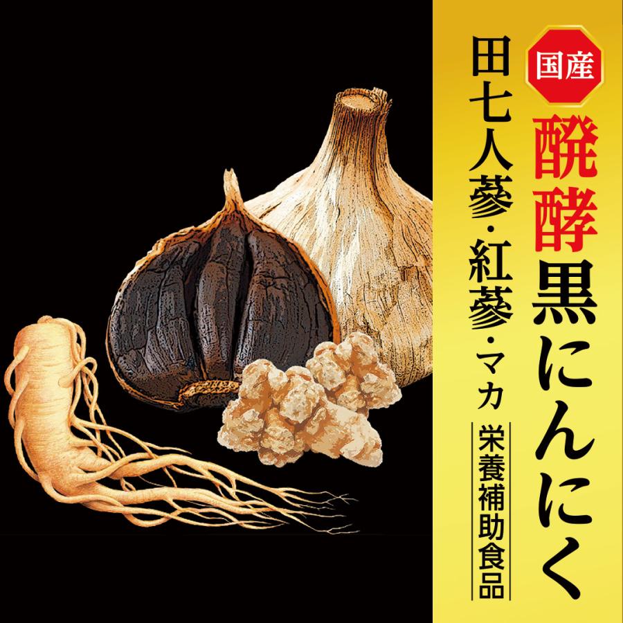 中京医薬品 大蒜人蔘W 120粒入 国産 醗酵 黒にんにく 田七人参 紅参