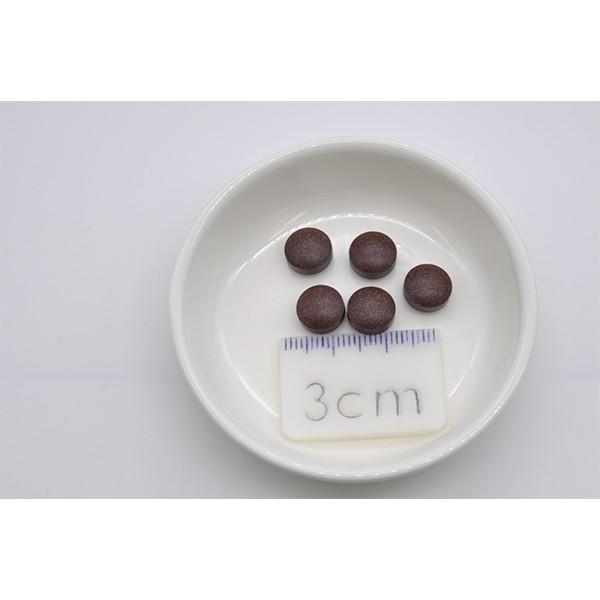 レスベラトロール 30mg  トランス型 メタレス 5粒入り×30包 1か月分 クロム 桑の葉 紅麹 モナコリン K2% 健康サポート 健康維持 サプリ 美容 健康サプリ | 中京医薬品 | 12
