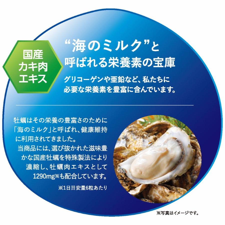 中京医薬品 牡蠣 亜鉛 アミノ酸 グリコーゲン 牡蠣エキス カルシウム