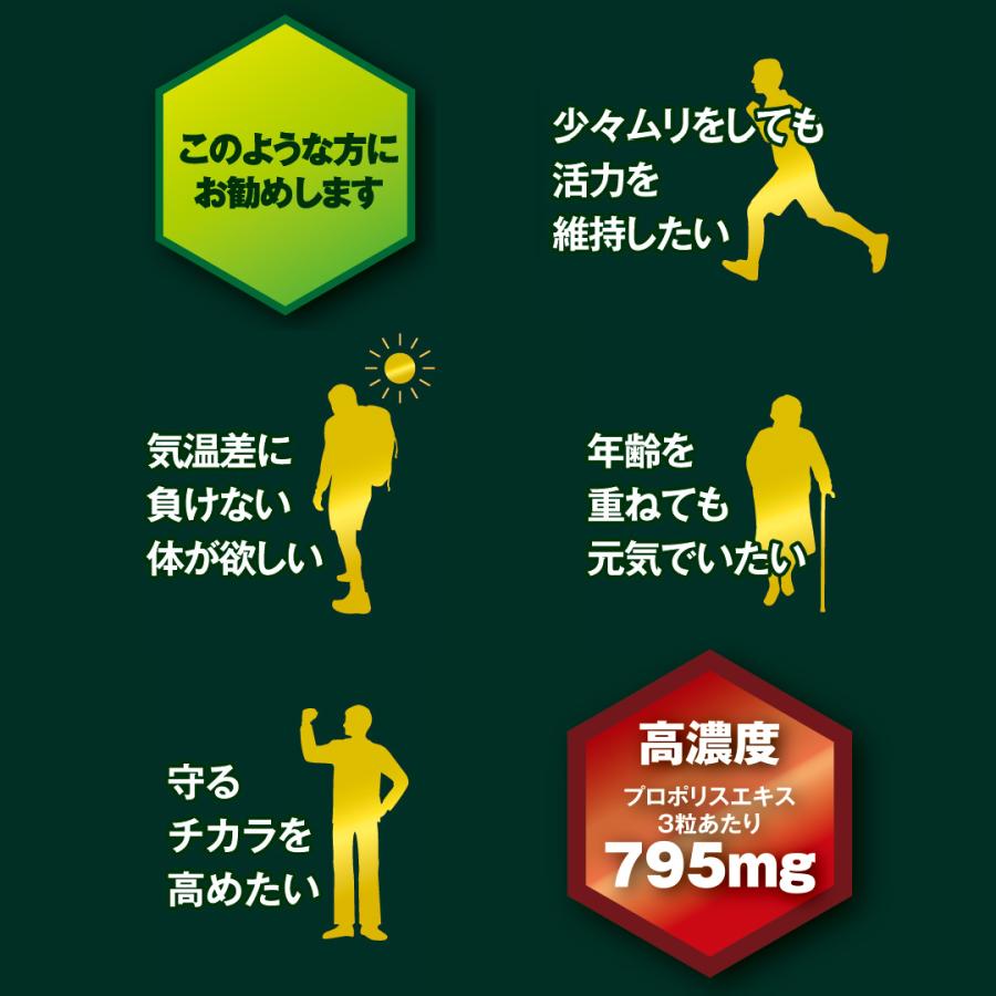 中京医薬品 プロポリス MEGA85（ 300粒 ） 高濃度 プロポリスエキス