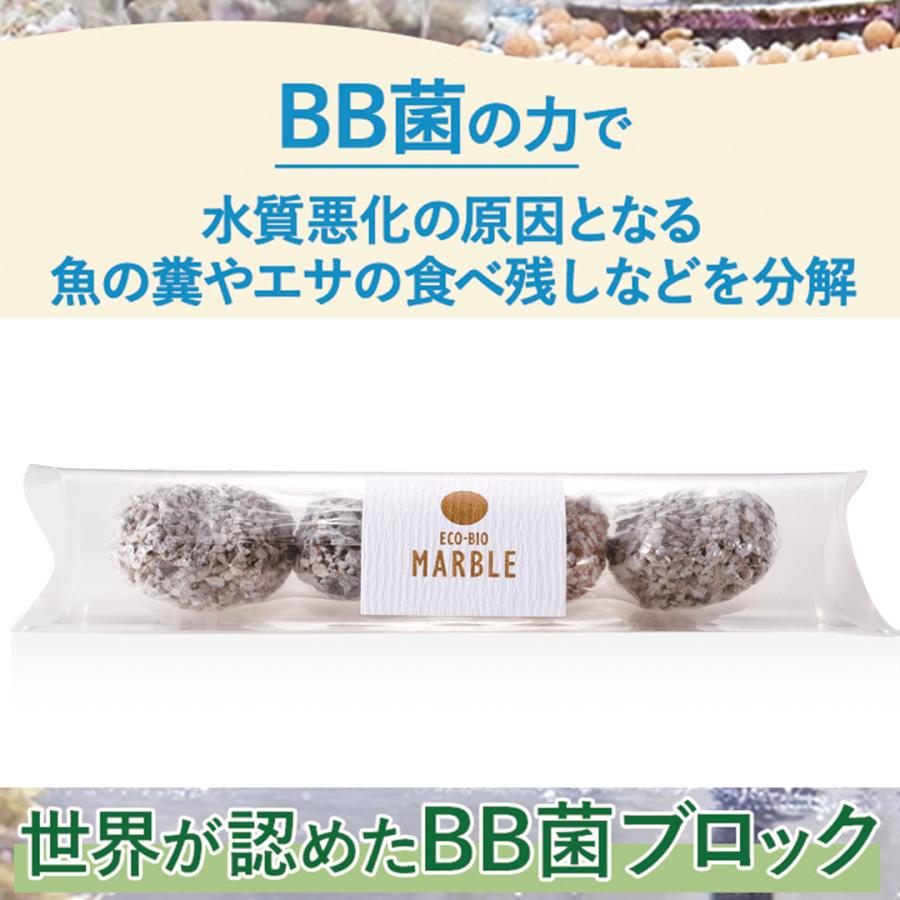 エコ・バイオ マーブル 水質浄化ブロック BB菌 水槽 掃除軽減 水質改善