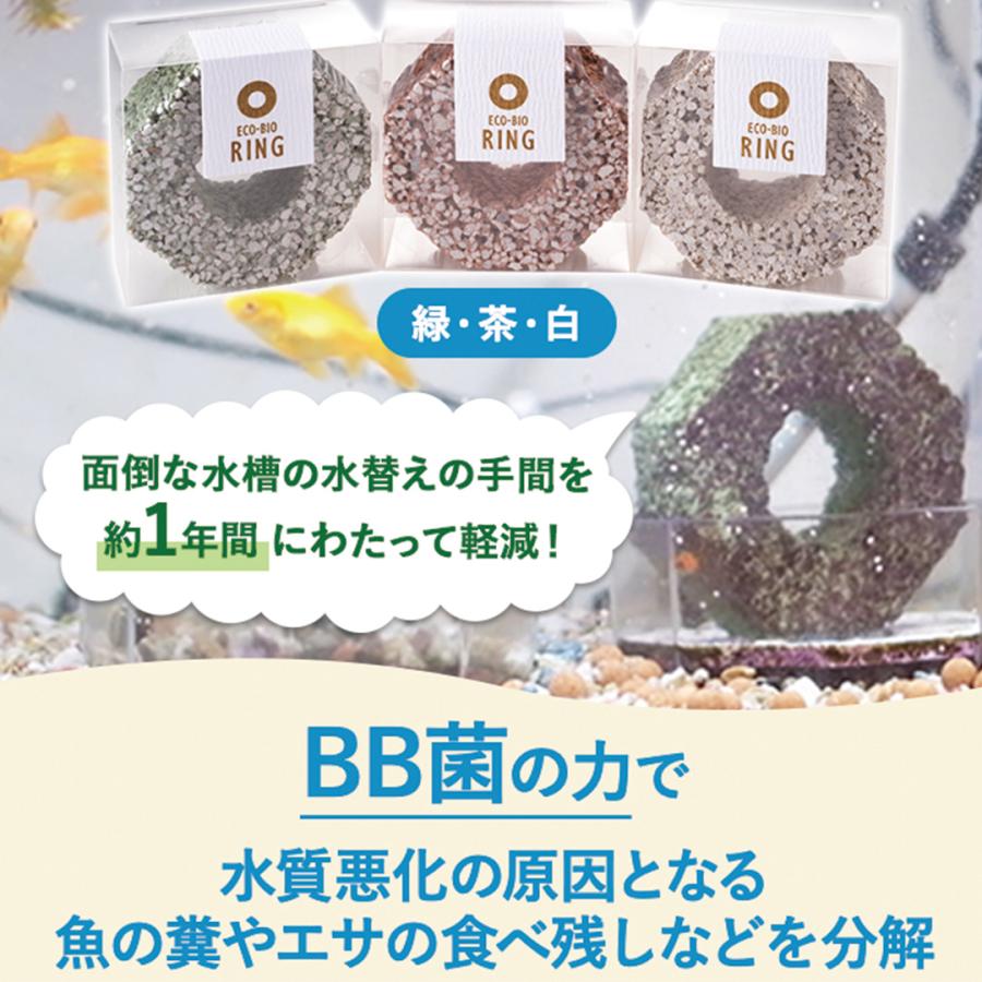 エコ・バイオリング グリーン エコバイオリング 水質浄化ブロック BB菌