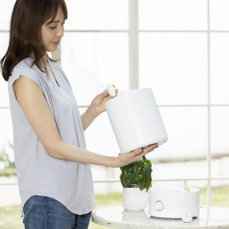 中京医薬品 加湿器 除菌 C.TLC 加湿器 除菌剤 120日分 給水タンク