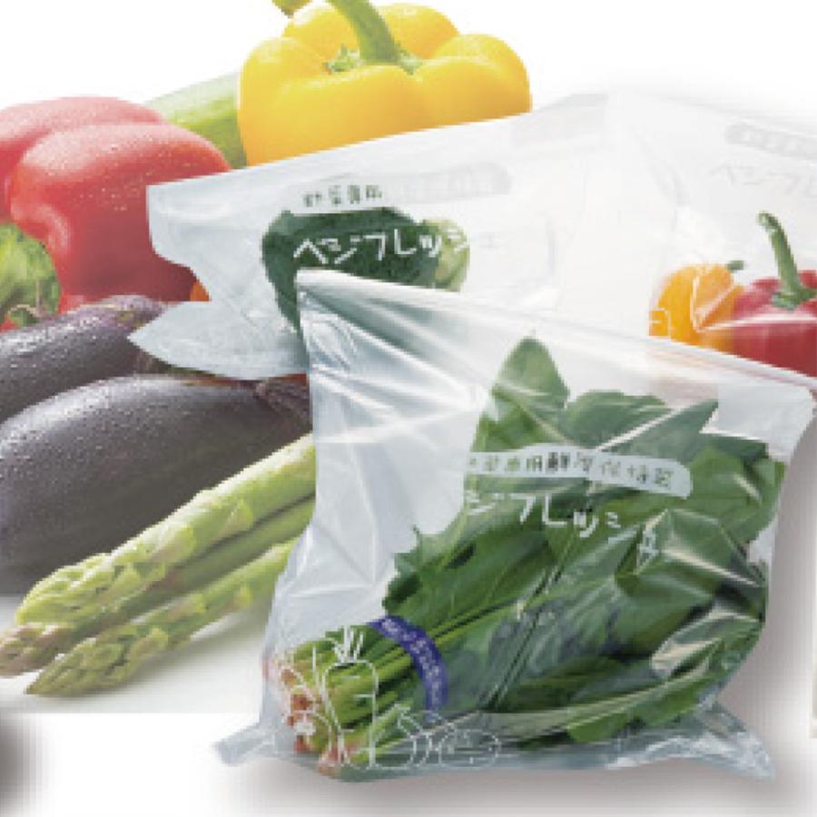 中京医薬品 在庫限り C．TLC 野菜鮮度保持袋 10枚入 野菜 果物