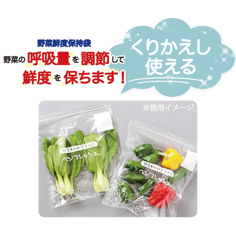 中京医薬品 在庫限り C．TLC 野菜鮮度保持袋 10枚入 野菜 果物
