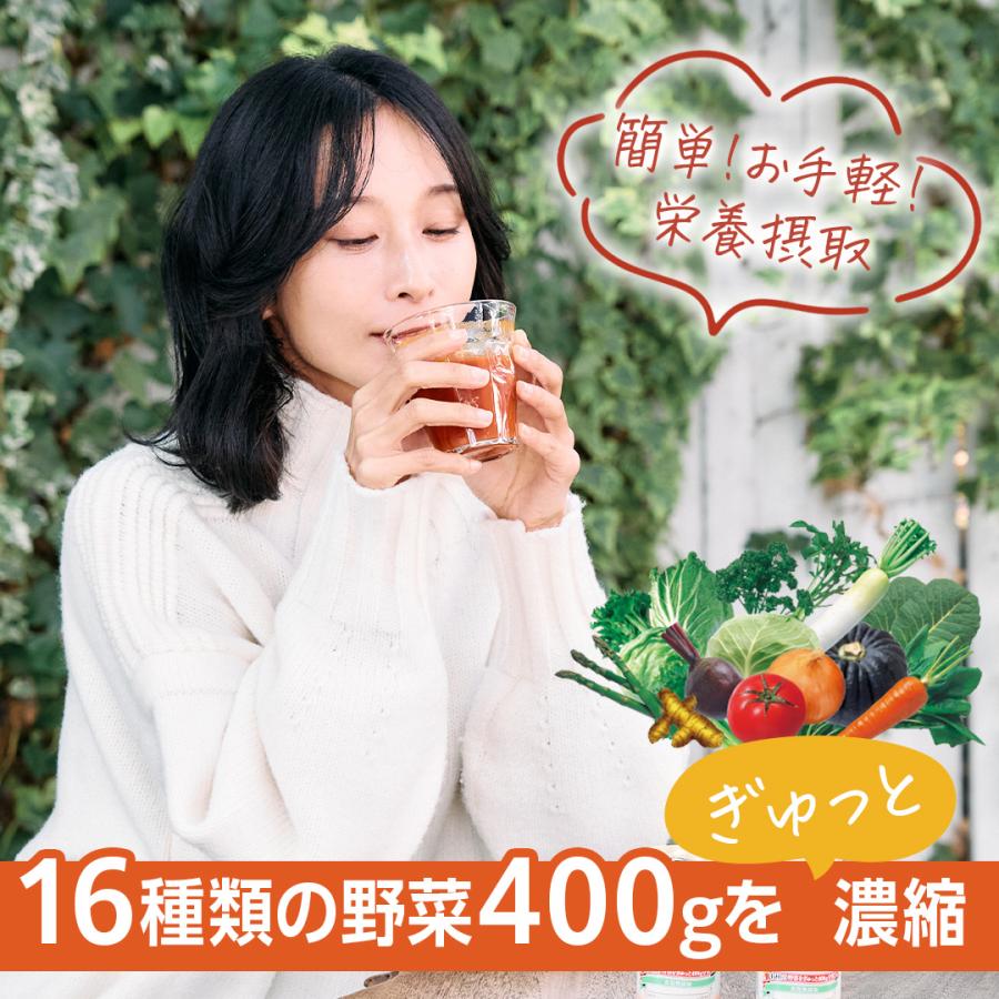 濃縮 野菜ジュース 薬屋さんが考えた濃縮野菜 190ｇ/缶 カゴメ 共同開発 濃い 16種類の野菜 400グラム配合 リコピン クルクミン含有 食塩無添加 6缶パック｜ikiiki-ryouhin｜02