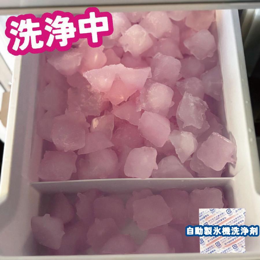 中京医薬品 自動製氷機用 洗浄剤 除菌剤 お試しセット 1回分 60日分