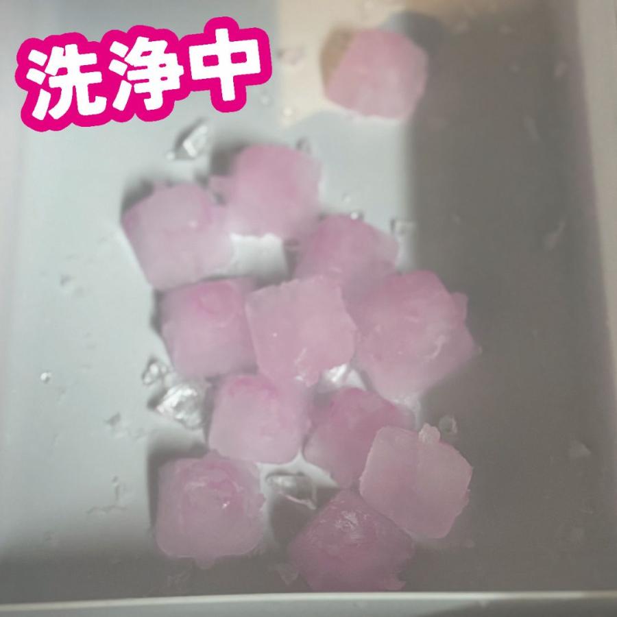 中京医薬品 自動製氷機 洗浄剤 クエン酸 3回分 冷蔵庫 製氷機