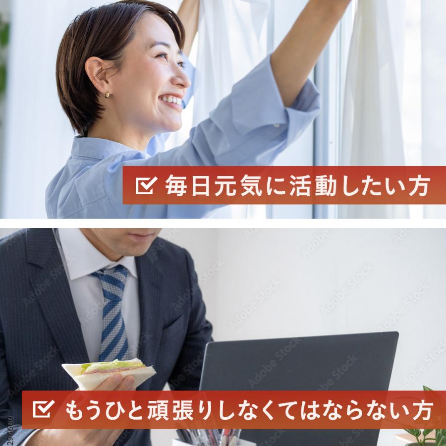 中京医薬品 高麗人参 紅参 田七人参 まむし 冬虫夏草 ローヤルゼリー