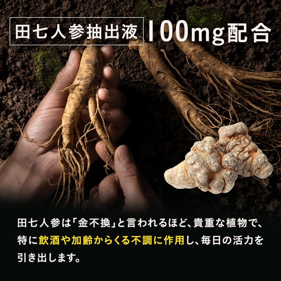 中京医薬品 高麗人参 紅参 田七人参 まむし 冬虫夏草 ローヤルゼリー