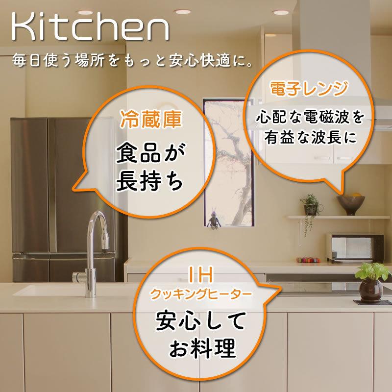 電磁波対策】アポロ・シン・ムーン(30mm×2枚セット) : イキイキ生活