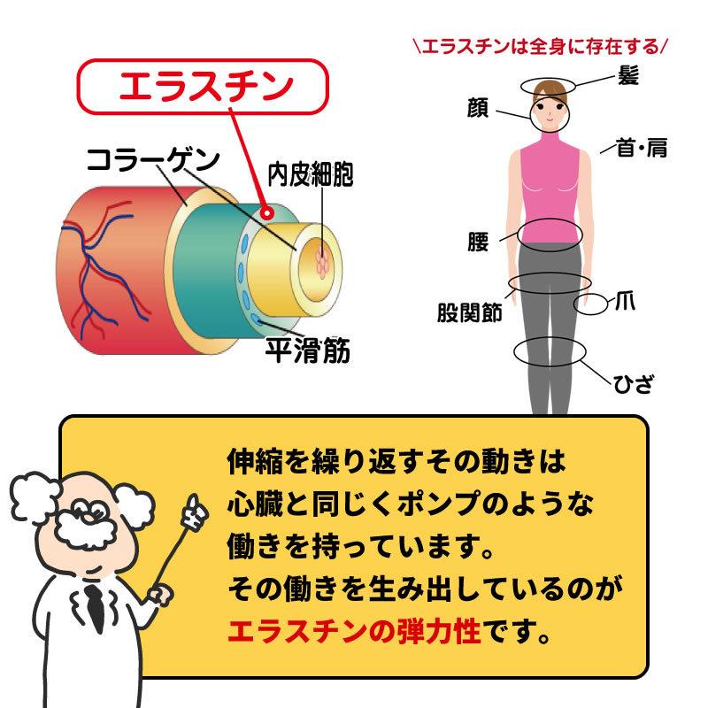 しなやか・弾力キープ健康サプリ】 エラスチンPG : イキイキ生活通販