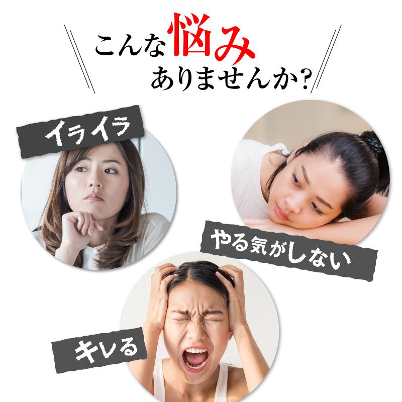 正規販売品】ヌーススピリッツ(低分子キトサン ストレス サプリ 正規販売品】ヌーススピリッツ(低分子キトサン ストレス サプリ