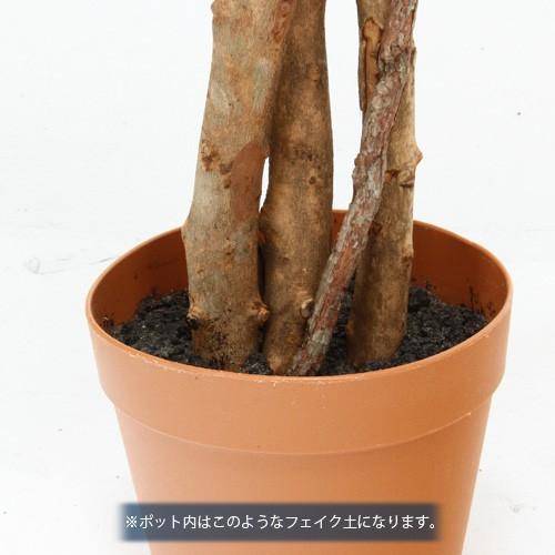 人工観葉植物 H170 インテリア 観葉植物 フィカス ゴムの木 Fuj Lf 02 Ikikagu イキカグ 通販 Yahoo ショッピング