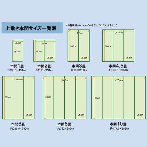 双目織 い草 上敷きカーペット 本間 8畳 382×382 ラグ 国産 松