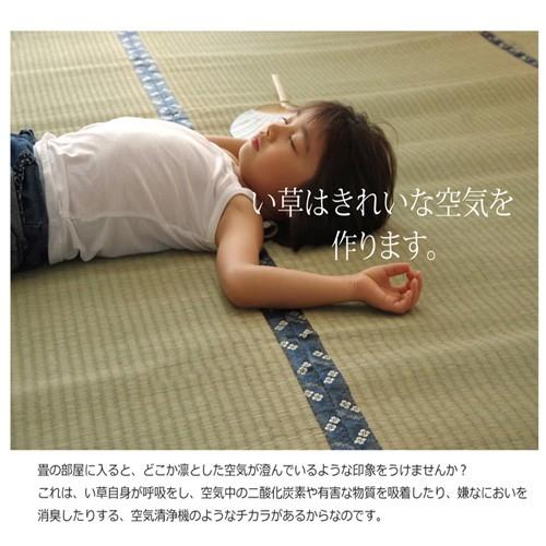 梅花い草 上敷き カーペット 6畳 国産 糸引織 本間6畳 (約286×382cm) 梅花_2