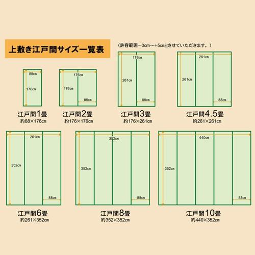 純国産 本間8畳（約382×382cm） 日本製 正方形 ござ ラグ 抗菌 防臭 草津 spp