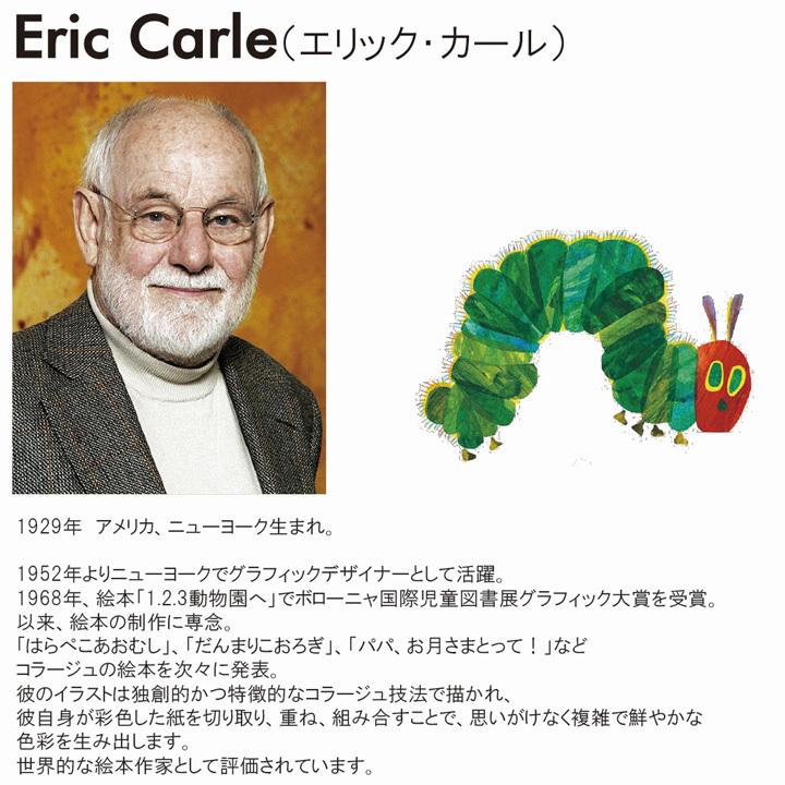 アートパネル エリック・カール Have You Seen My Cat?ぼくのねこ み