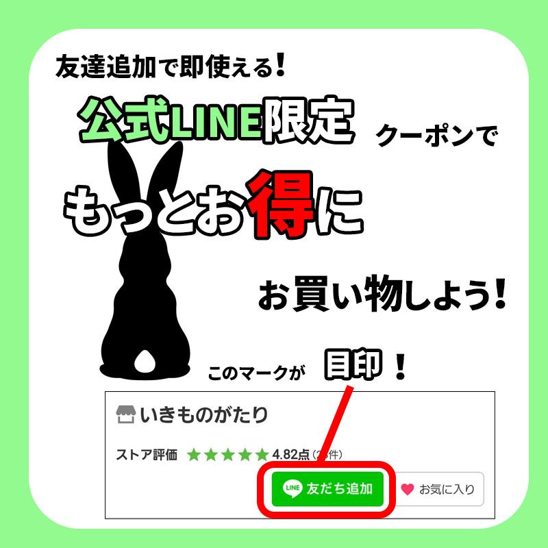 マグネットフック キーフック 磁石 犬 いぬ イヌ 柴犬 かわいい アニマル インテリア ギフト アニマルテイル |  | 10