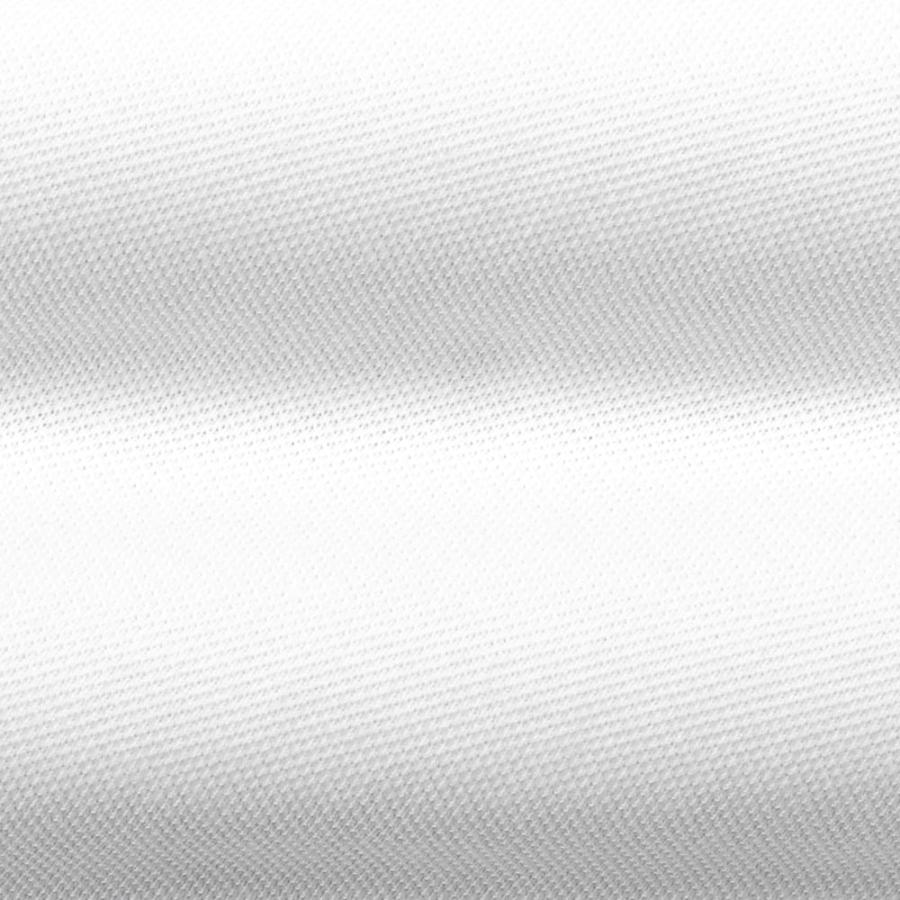 ギローバー GUY ROVER ／ 24SS コットン鹿の子ホリゾンタルカラー半袖シャツ「PC190」（ホワイト）｜ikinakikonashi｜05