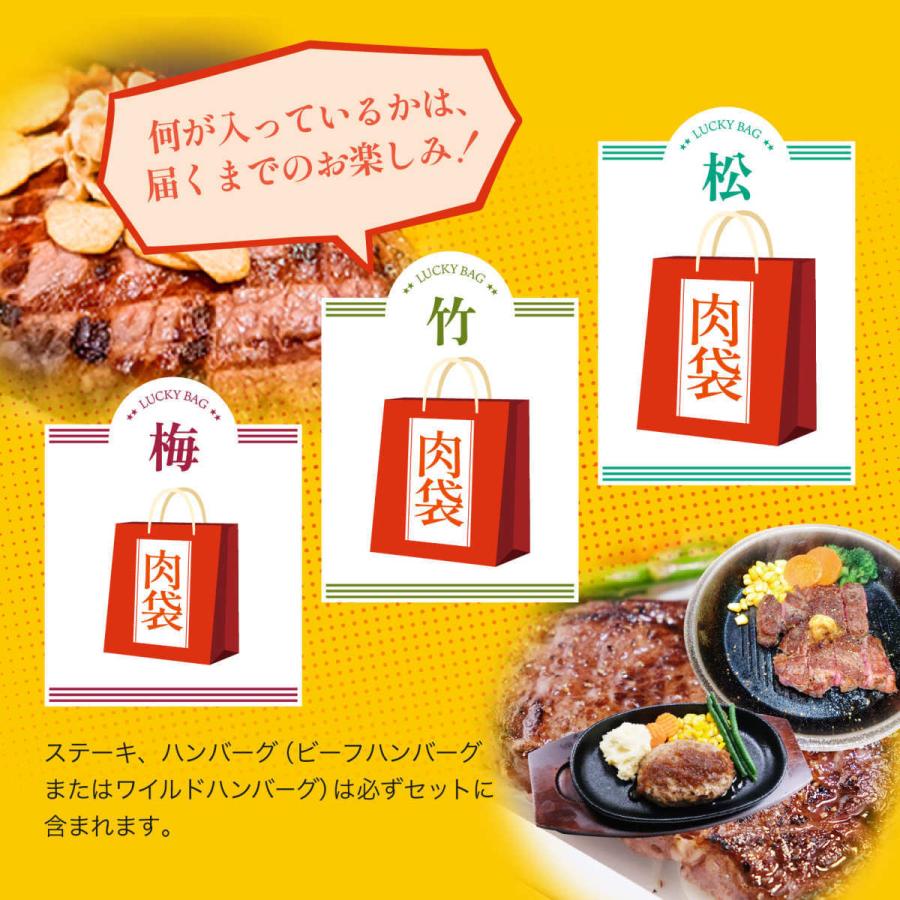 Sale 103 Off いきなり ステーキ お楽しみ肉袋 竹 Ver1 0 冷凍 ハンバーグ 牛肉 食べ比べ セット ギフト お中元 お歳暮 内祝い グルメ 7 777円 Aynaelda Com
