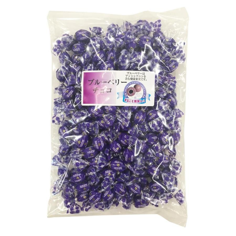 新品本物 送料無料 ブルーベリーチョコ 250g 12pc B 13 代引き不可 全国宅配無料 Biakkab Go Id