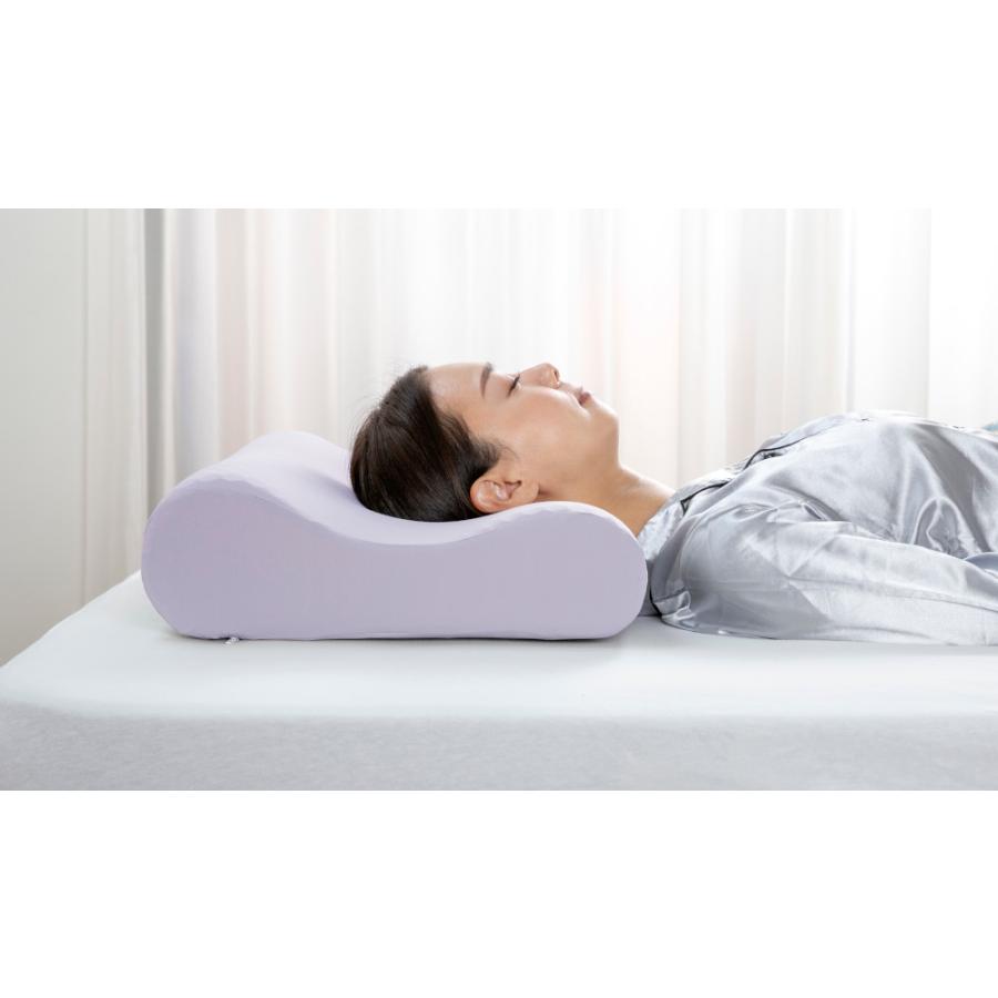 フランスベッド（FRANCEBED） ズカンピロー 3つのハイブリッド放熱機能 