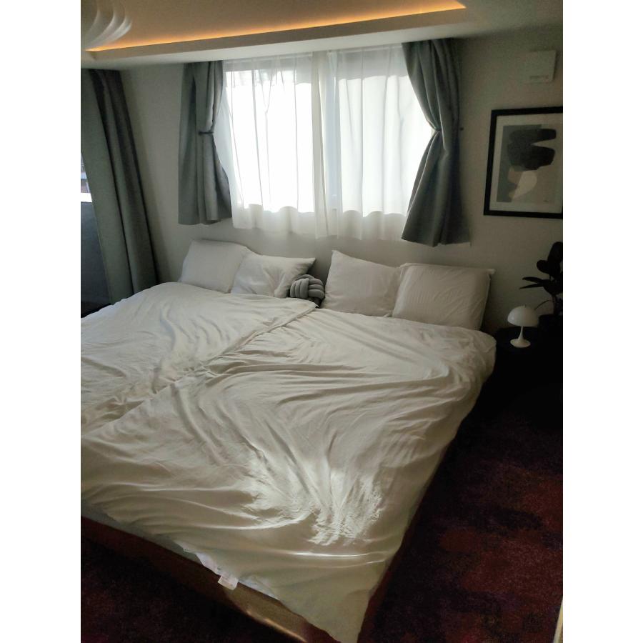 フランスベッド（FRANCEBED） マットレス ダブル 高密度・高耐久性