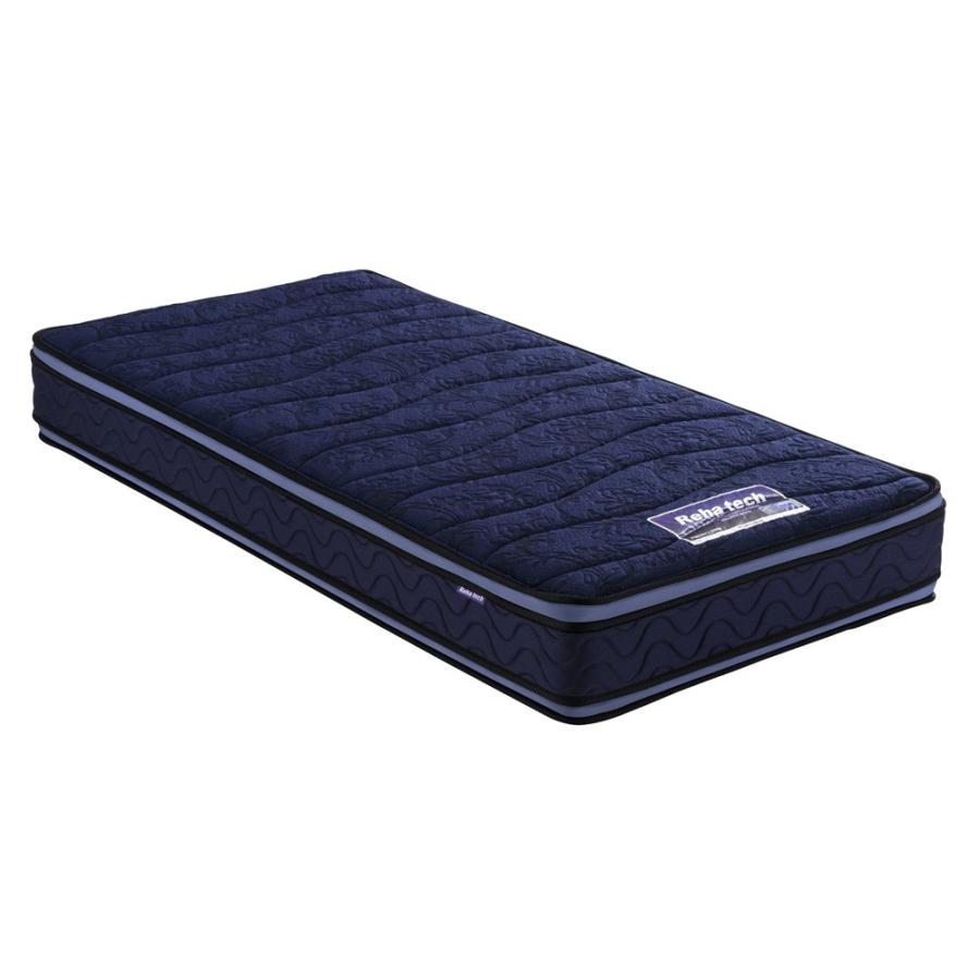 【フランスベッド】Reha tech ボディコンディショニングマットレス フランスベッド ボディ コンディショニング マットレス ダブル