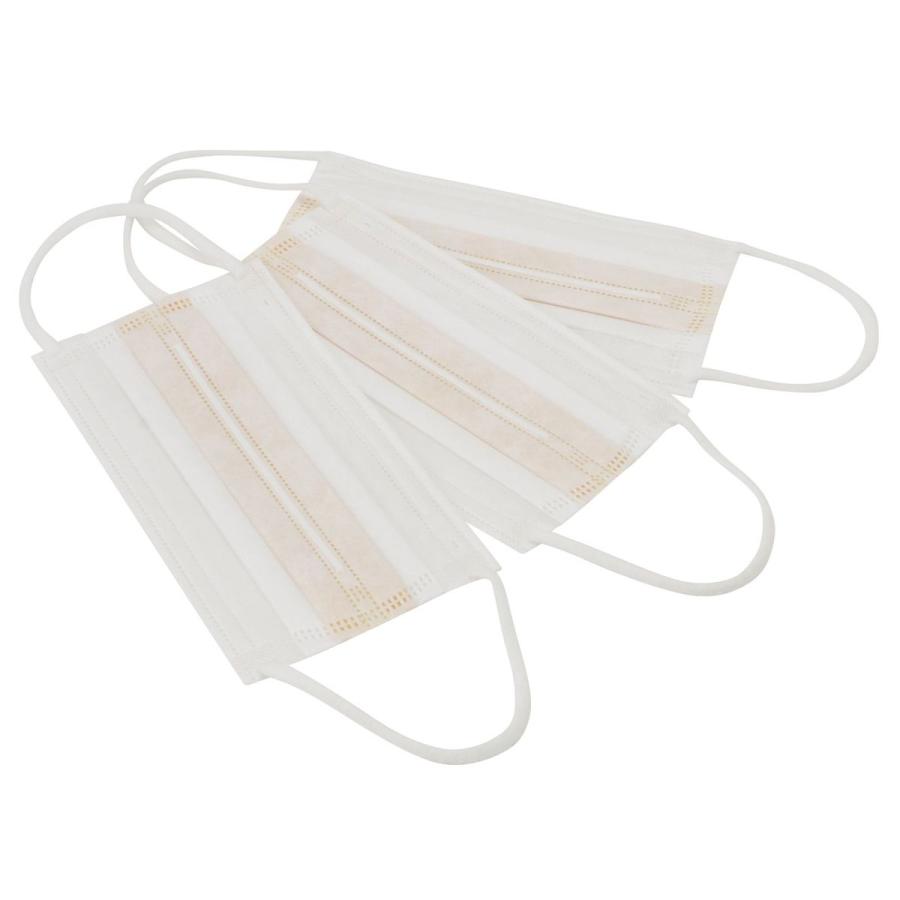 グラフトシャットフィルターマスク 3枚入 10個セット |  | 04