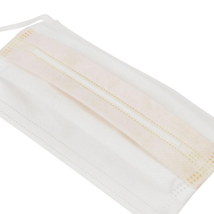 グラフトシャットフィルターマスク 3枚入 10個セット |  | 05