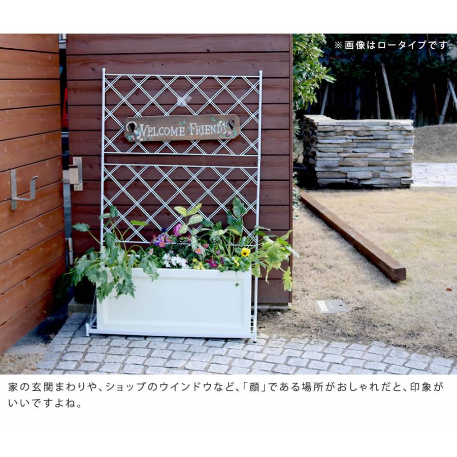 プランター台付フェンス（スリムタイプ）「アーガイル」 送料無料 フェンス アイアン グリーンカーテン ゴーヤ 薔薇 バラ 朝顔 庭 ベランダ ガーデニング |  | 04