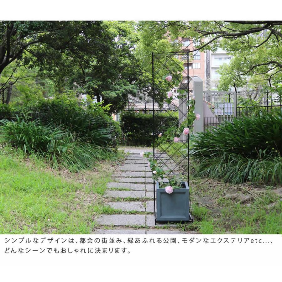 プランター台付フェンス（スリムタイプ）「アーガイル」 送料無料 フェンス アイアン グリーンカーテン ゴーヤ 薔薇 バラ 朝顔 庭 ベランダ ガーデニング |  | 05